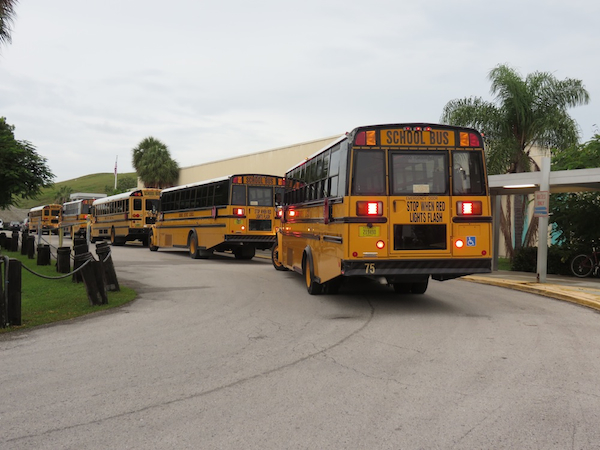 busses resized