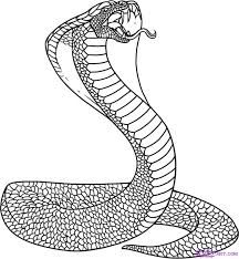 white cobra
