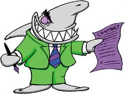lawyer shark
