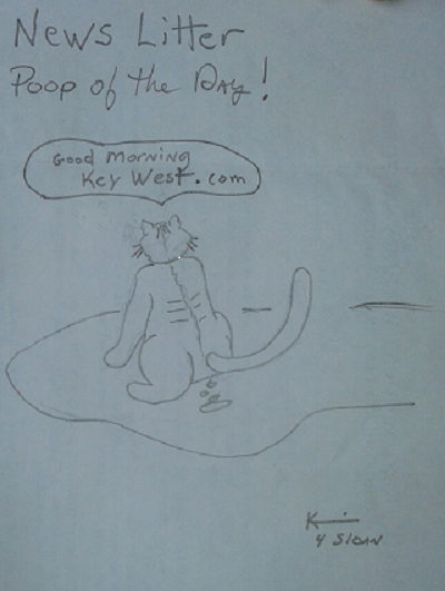 Kari news litter
